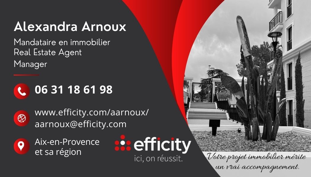 Carte Alexandra Arnoux mandataire immobilier effiCity Aix-en-Provence
